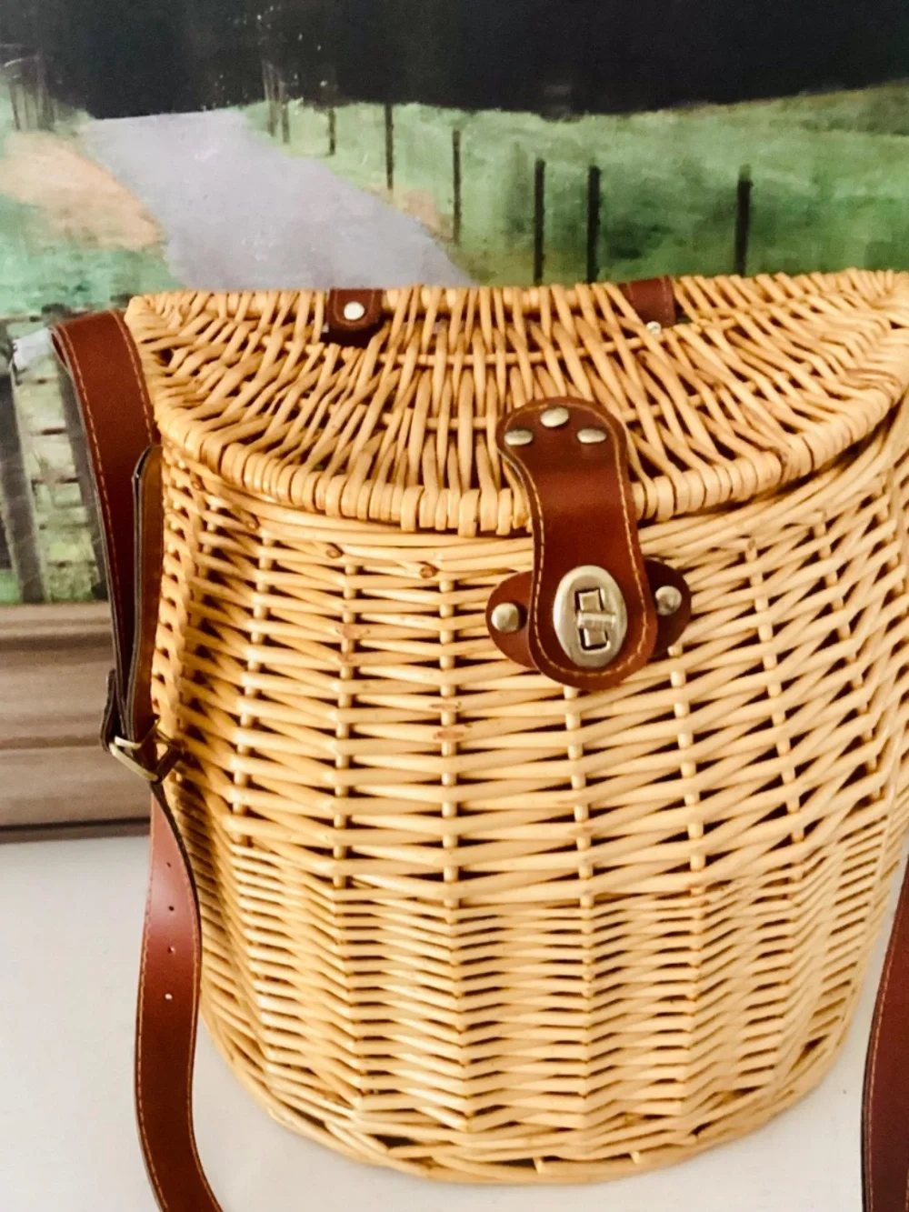 Wicker Mushroom Foraging Basket Crossbody Bag W/lid Shoulder Strap Storage Decor